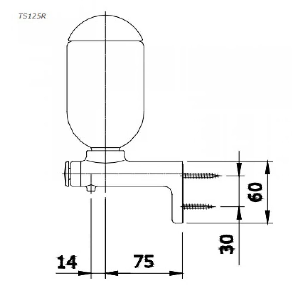 TS125R-ban-ve-ky-thuat